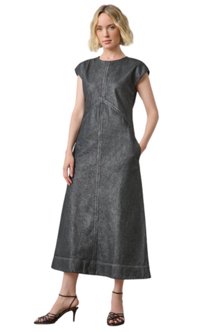 Metallic Seamed Maxi Dress, Silver Denim