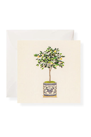 Lemon Tree Individual Gift Enclosure