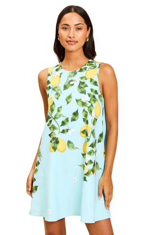 Cecily Mini Dress, Aegean Citrus