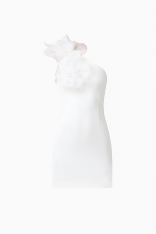Elliatt Verdessa Mini Dress in Ivory featuring an asymmetric one-shoulder neckline, 3D floral appliqué, and fitted mini silhouette.