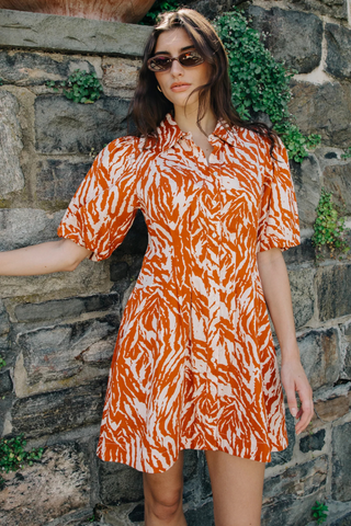 Marta Mini Dress, Terracotta Zebra