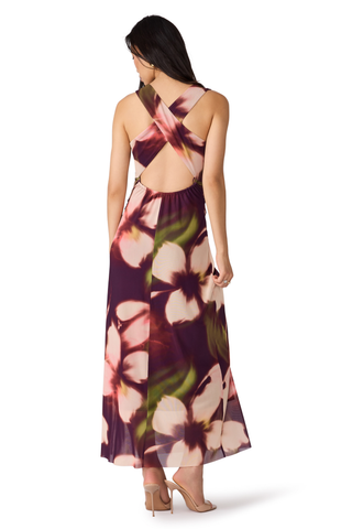 Steve Madden Rylen Dress in Blurry Floral, a sleeveless maxi dress featuring an abstract floral print in wine, blush, cream, and green.