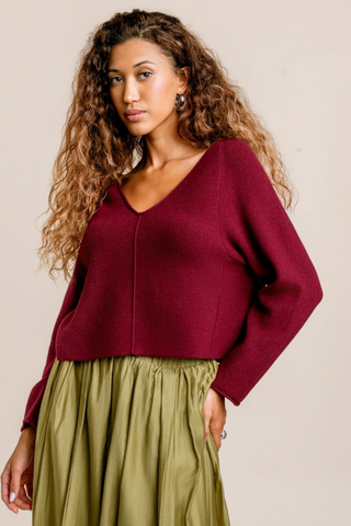 Kerisma Asima 'V' Top in Plum Berry featuring a V-neckline, long raglan sleeves, center-front piping, and rolled hem details.