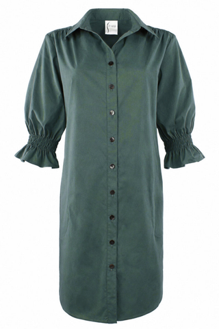 Finley Miller Dress in Jade featuring a green and blue cross-dyed fabric, spread collar, button-front closure, puff sleeves with smocked cuffs, and relaxed above-the-knee silhouette.