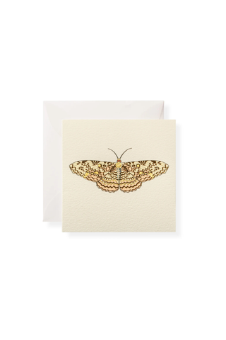 Martha Individual Gift Enclosure