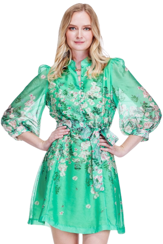 Stand Collar A-Line Dress, Emerald Bloom