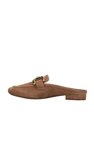 Brown suede slip-on shoe with a strap on a white background