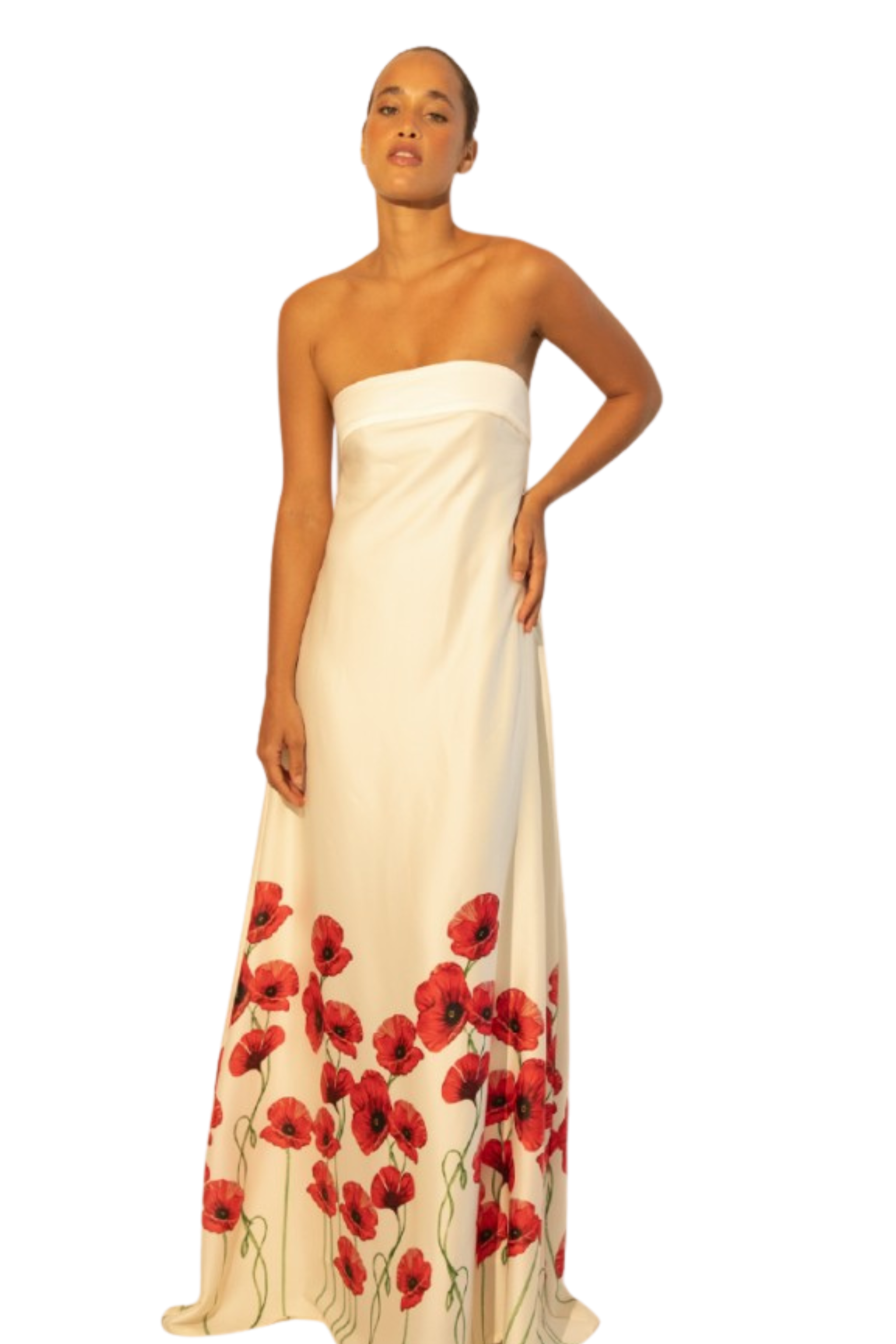 Beatriz Maxi Dress, Poppy XS Beatriz Maxi Dress, Poppy XS