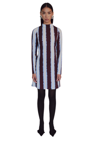 De Loreta Kira Dress in Campo featuring a striped print, long sleeves, high neckline, and mini silhouette.