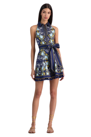 Lucy Mini Shirt Dress, Antique Scroll