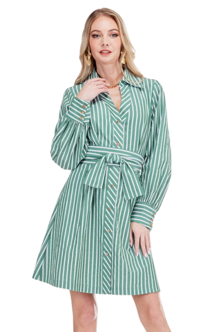 Jade Collar Waist Pleated Shirtdress in green and white stripes with a pointed collar, long sleeves, tie waist, and pleated skirt.