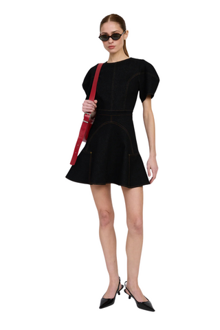 Aaliyah Mini Dress, Black