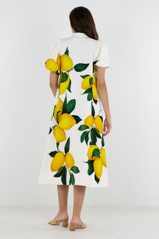 Emily McCarthy Hampton dress in limone with lemon print and midi silhouette