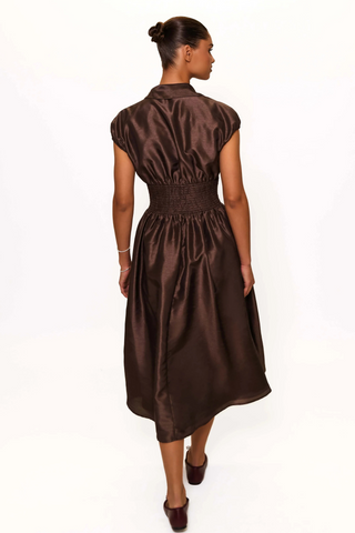 Trevy Dress, Brown