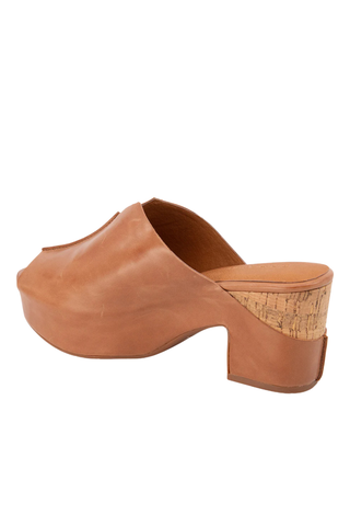 Gamma Wedge, Camel