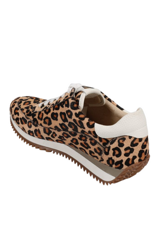 Queen Sneaker, Camel Dino