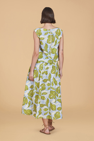 Bubble Top, Zest Leaves