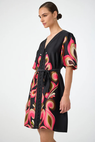 Certonia Dress, Multi