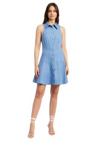 Liana Mini Dress, Chambray