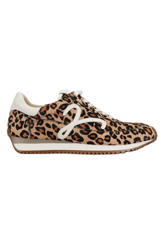 Queen Sneaker, Camel Dino