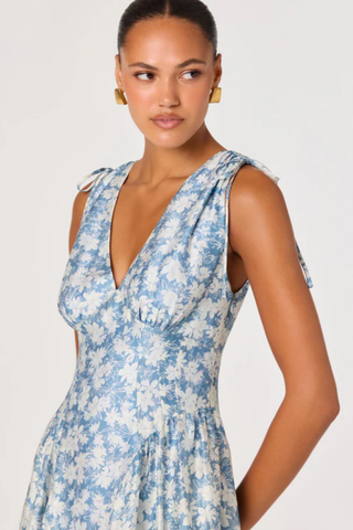 Emmery Dress, Blue Floral