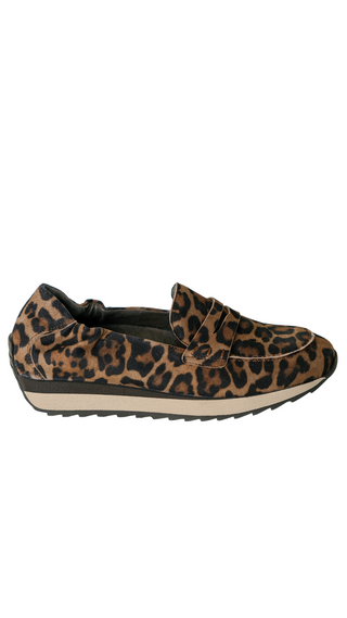 Digna Loafer, Pantera Chocolate