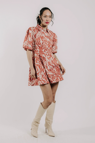 Marta Mini Dress, Terracotta Zebra