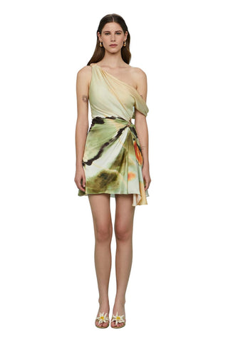 Elowen Mini Dress, Butterfly Wing