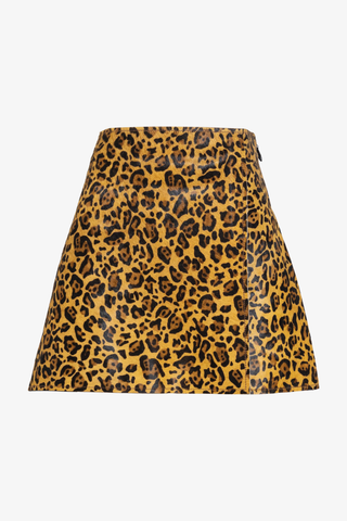 Celine Skirt, Brown Multi