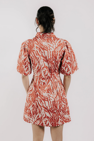 Marta Mini Dress, Terracotta Zebra