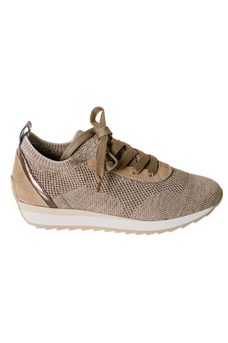 Dale Sneaker, Sahara