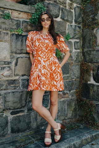 Marta Mini Dress, Terracotta Zebra