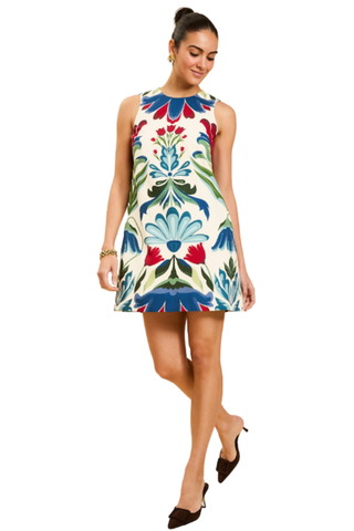 Fiona Shift Mini Dress, Ornamented Espalier