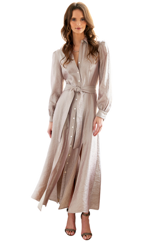 Finley Carrie Metallic Dress in Platinum featuring a shimmering silver-toned metallic finish, collared neckline, button-front closure, long sleeves, coordinating tie waist belt, and flowing maxi-length skirt.