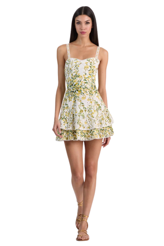 Meredith Mini Dress, Fresh Air Butter