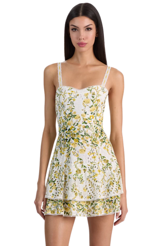 Meredith Mini Dress, Fresh Air Butter