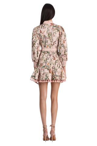 Lucy Mini Shirt Dress, Sunset Grove English Rose