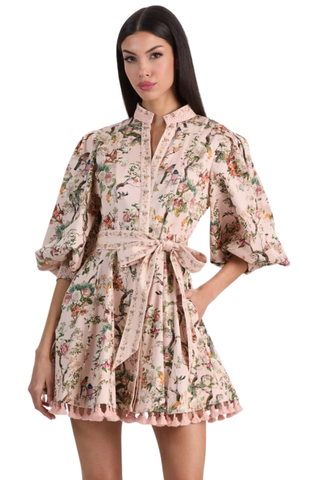 Lucy Mini Shirt Dress, Sunset Grove English Rose
